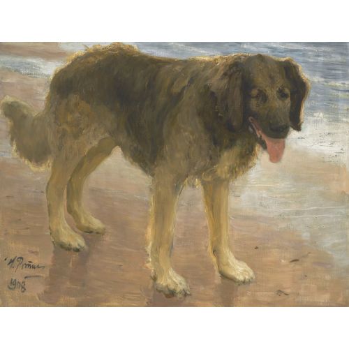 Ilya Repin, Nord Ilya Repin, Nord