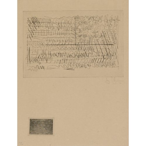 Jasper Johns, Flag 8 Jasper Johns, Flag 8