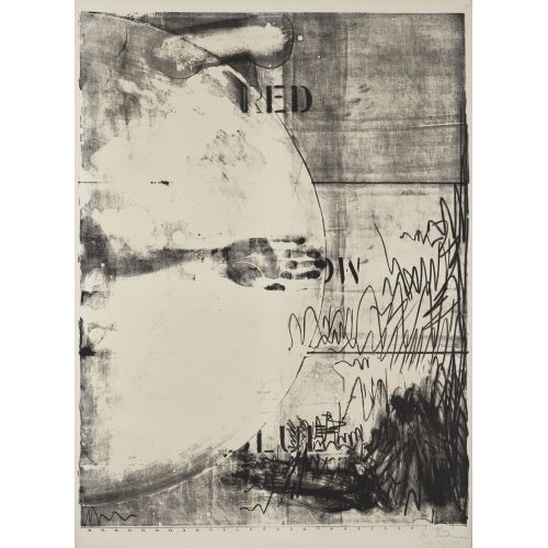 Jasper Johns, Hatteras
