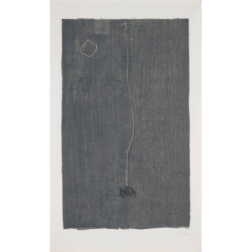 Jasper Johns, No