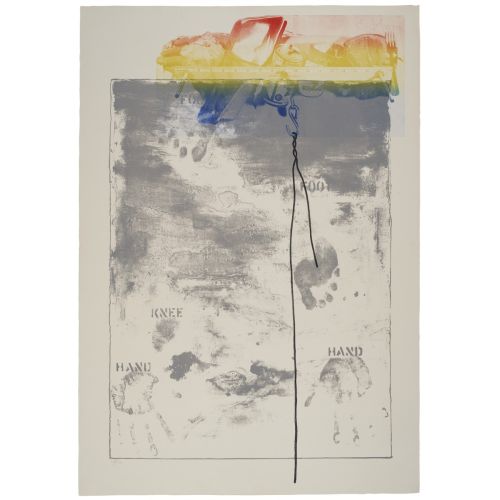 Jasper Johns, Pinion