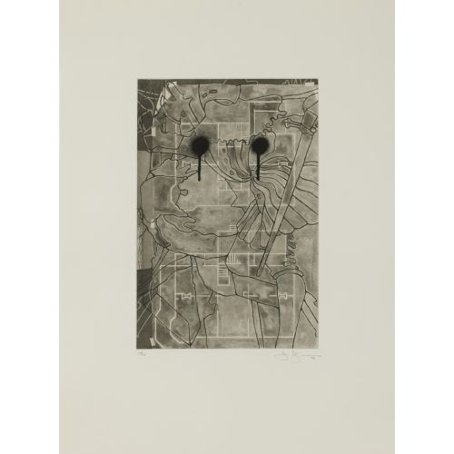 Jasper Johns, İsimsiz 30 Jasper Johns, İsimsiz 30