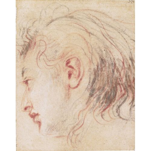 Jean-Antoine Watteau, Genç Bir Adamın Baş Çalışması