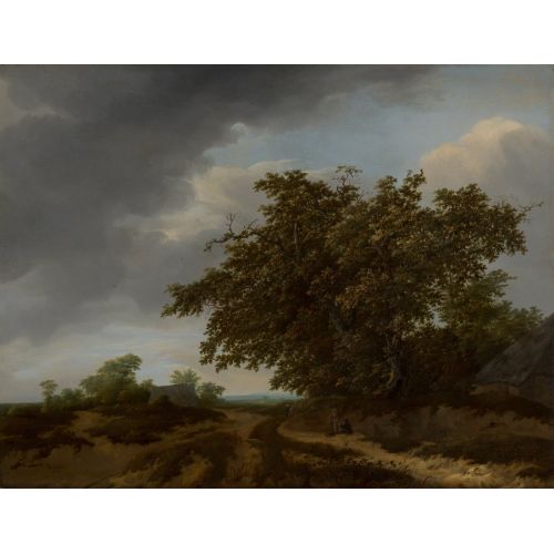 Johannes Vermeer, Landscape On The Edge Of The Dunes