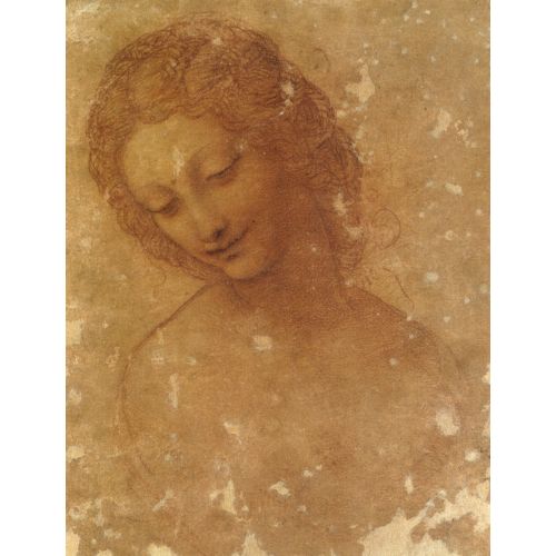 Head Of Leda, Leonardo Da Vinci