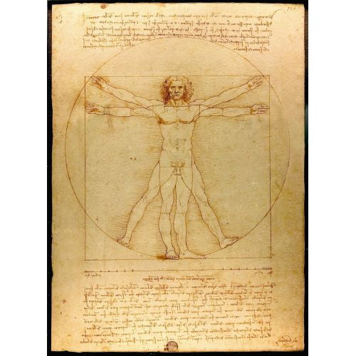 Vitruvian Man, Leonardo Da Vinci People Canvas Prints Leonardo da Vinci, Vitruvius Adamı, Canvas Print, Oil Painting Replica and