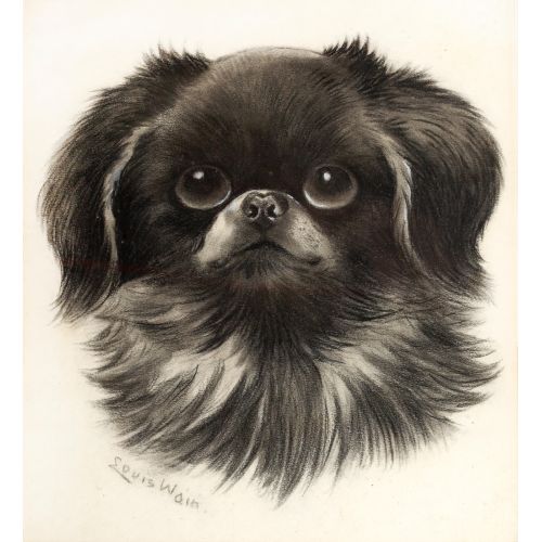 Louis Wain, Head study of a Pekinese Art Nouveau Art Movements Louis Wain, Head study of a Pekinese, Art Nouveau, can be