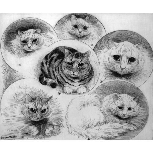 Louis Wain, Altı Kedi Çalışması Louis Wain, Altı Kedi Çalışması