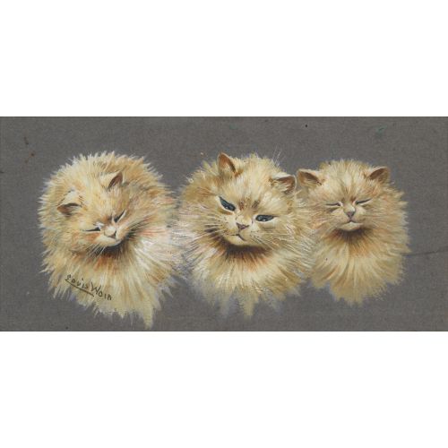 Louis Wain, Bir Kedinin Başının Çalışması