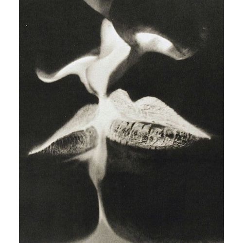 Man Ray, Negative Kiss Dada Man Ray, Negative Kiss Dada Art Movements Canvas, Drawing Paper Prints, Reproduction Oil Painting and High Resolution Image