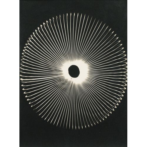 Man Ray, İsimsiz Rayogram