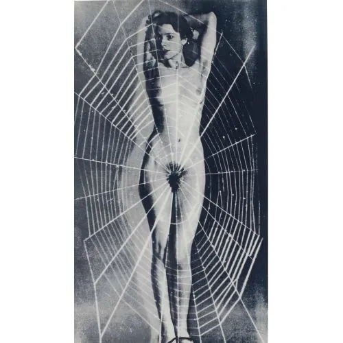 Man Ray, Spider Woman Dada Man Ray, Spider Woman Dada Art Movements Canvas, Drawing Paper Prints, Reproduction Oil Painting and High Resolution Image Canvas
