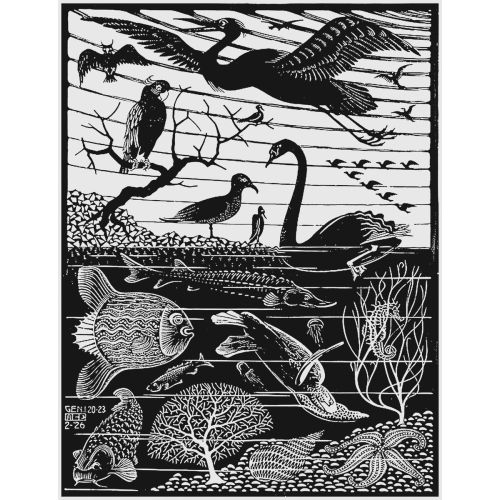 Maurits Cornelis Escher, The Fifth Day Of The Creation Maurits Cornelis Escher, The Fifth Day Of The Creation