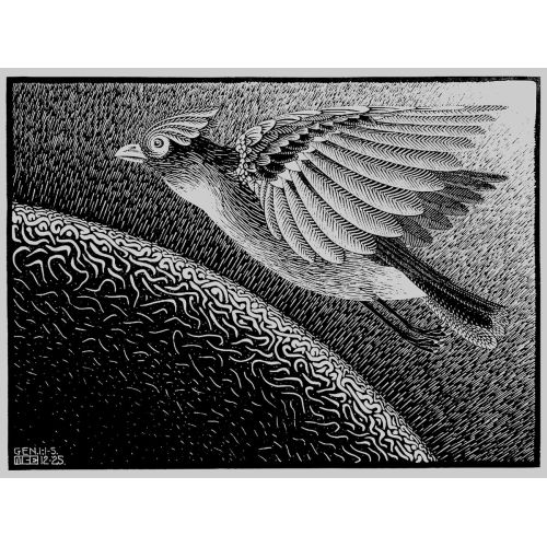 Maurits Cornelis Escher, The First Day Of The Creation Maurits Cornelis Escher, The First Day Of The Creation