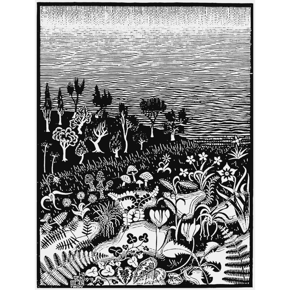 Maurits Cornelis Escher Yaratılışın Üçüncü Günü Sürrealizm Maurits Cornelis Escher Yaratılışın Üçüncü Günü Sürrealizm Sanat Akımları Kanvas Efektli Tablo, Resim Kağıdı