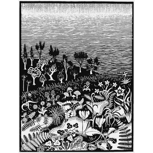 Maurits Cornelis Escher, The Third Day Of Creation Maurits Cornelis Escher, The Third Day Of Creation
