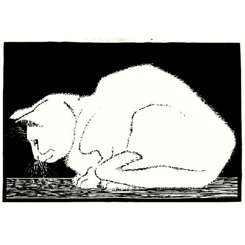 Maurits Cornelis Escher, Beyaz Kedi II Maurits Cornelis Escher, Beyaz Kedi II