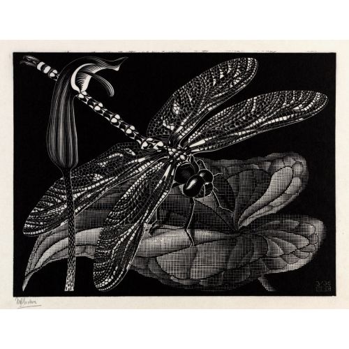 Maurits Cornelis Escher, Dragonfly