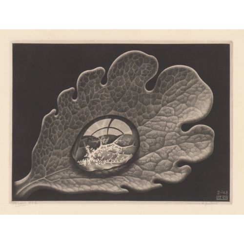 Maurits Cornelis Escher, Drop