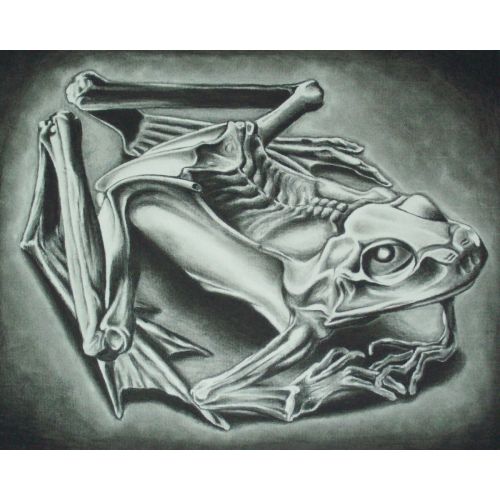 Maurits Cornelis Escher, Mumified Frog Maurits Cornelis Escher, Mumified Frog