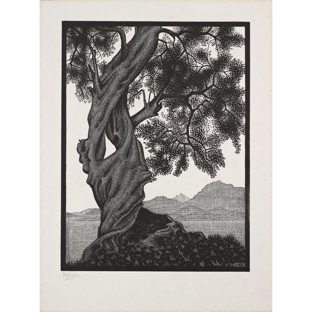 Maurits Cornelis Escher Eski Zeytin Ağacı Realizm Maurits Cornelis Escher Eski Zeytin Ağacı Realizm Sanat Akımları Kanvas Efektli Tablo, Resim Kağıdı Baskısı