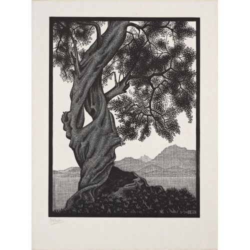Maurits Cornelis Escher, Old Olive Tree Maurits Cornelis Escher, Old Olive Tree