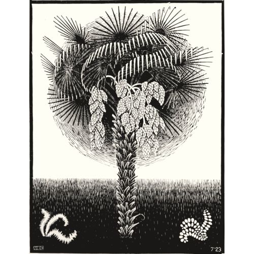 Maurits Cornelis Escher, Palm Tree Maurits Cornelis Escher, Palm Tree