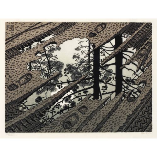 Maurits Cornelis Escher, Puddle Maurits Cornelis Escher, Puddle
