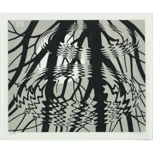 Maurits Cornelis Escher, Dalgalı Su Birikintisi Maurits Cornelis Escher, Dalgalı Su Birikintisi