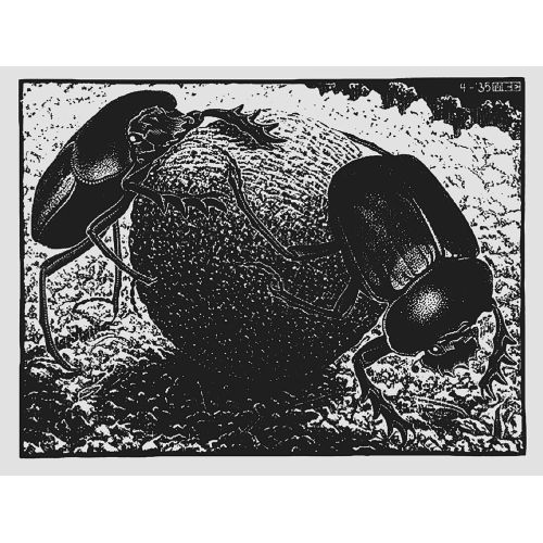 Maurits Cornelis Escher, Bok Böcekleri Maurits Cornelis Escher, Bok Böcekleri