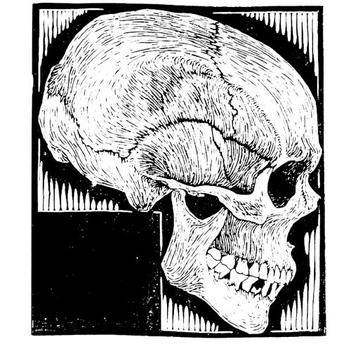 Maurits Cornelis Escher, Skull