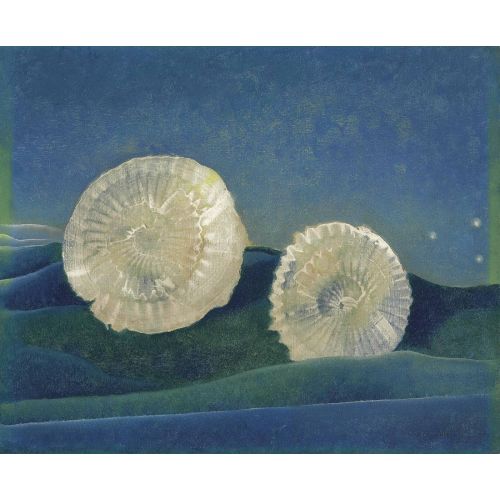Max Ernst, Es Coquilles Max Ernst, Es Coquilles
