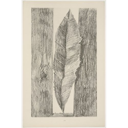 Max Ernst, Yaprak Alışkanlığı