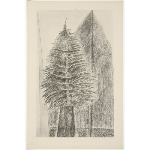 Max Ernst, The Fascinating Cypress Max Ernst, The Fascinating Cypress