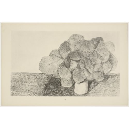 Max Ernst, Uysal Ihlamur Ağacı
