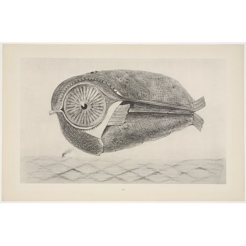 Max Ernst, The Fugitive Max Ernst, The Fugitive