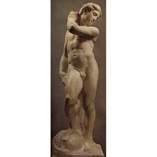 Apollino, Michelangelo Renaissance Paintings Apollino, Michelangelo Historical Canvas Prints Canvas, Drawing Paper Prints, Reproduction Oil Painting and High Resolution Image