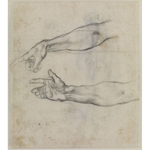 Studies Of An Outstretched Arm For The Fresco, The Drunkenness Of Noah' In The Sistine Chapel, Michelangelo