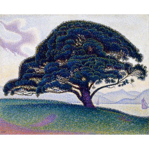 Paul Signac, Bonaventure Çamı Paul Signac, Bonaventure Çamı