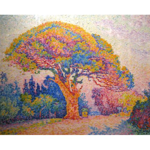 Paul Signac Pino En Saint Tropez Puantilism Art Movements Canvas, Drawing Paper Prints, Reproduction Oil Painting and High