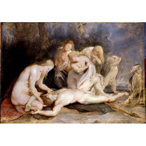 Peter Paul Rubens, Venus Mourning Adonis