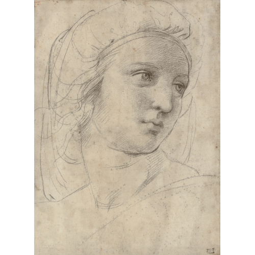 Raphael, Head Of A Muse