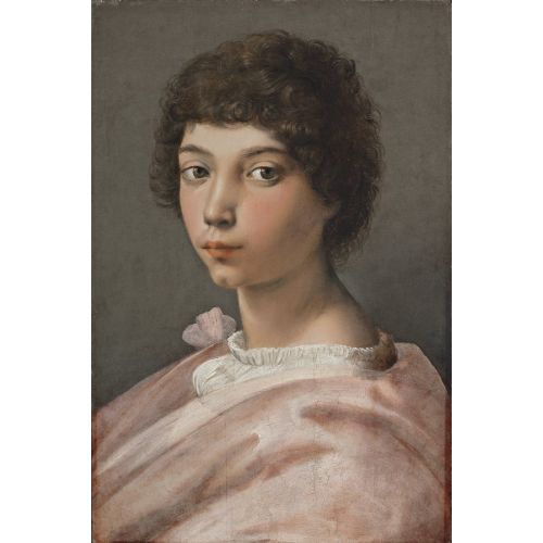 Raphael, Ritratto Di Un Giovane Uomo Raphael, Ritratto Di Un Giovane Uomo