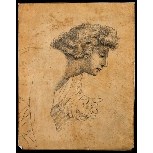 Raphael, Profile Of A Boy Which According To Lavater Exemplifies Raphael, Profile Of A Boy Which According To Lavater Exemplifies