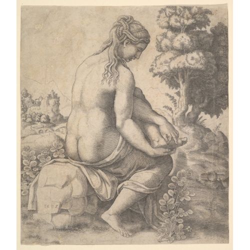 Raphael, Venus Removing A Thorn From Her Foot Raphael, Venus Removing A Thorn From Her Foot