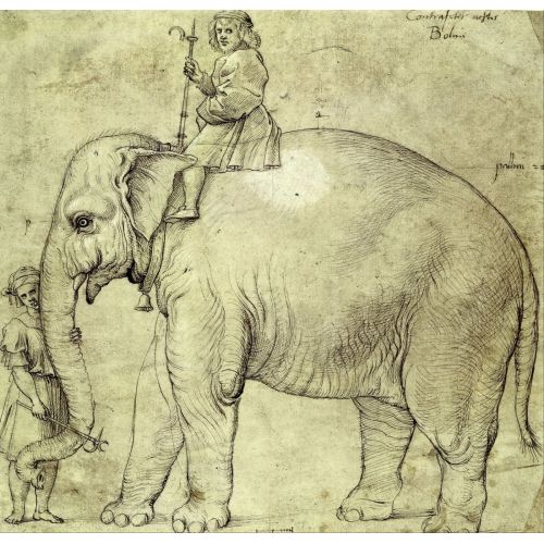Raphael, The School Of The Elephant Hanno Raphael, The School Of The Elephant Hanno