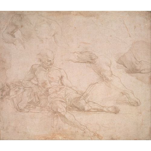 Raphael, Santi Study For The Figure Of Diogenes In The School Of Athens Raphael, Santi Study For The Figure Of Diogenes In The School Of Athens