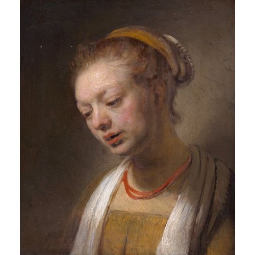 Rembrandt Van Rijn, Young Woman With A Red Necklace Rembrandt Van Rijn, Young Woman With A Red Necklace