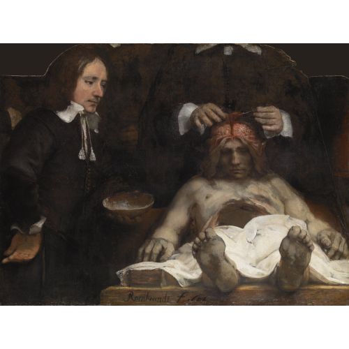 Rembrandt Van Rijn, Anatomik Ders Dr. Jan Deijman