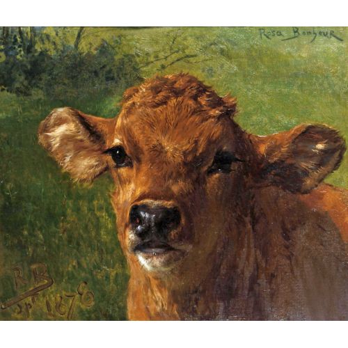 Rosa Bonheur, Bir Buzağı Başı Rosa Bonheur, Bir Buzağı Başı
